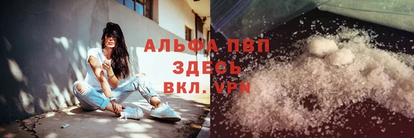 стаф Нефтекумск