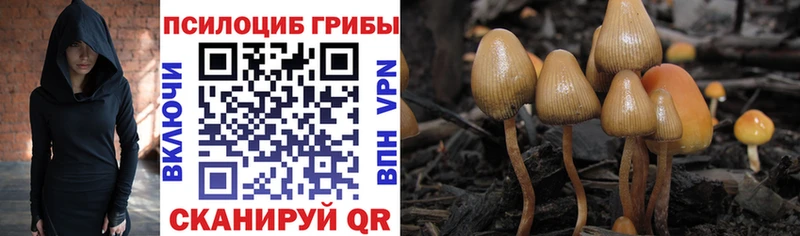 Галлюциногенные грибы Magic Shrooms  Озёрск 